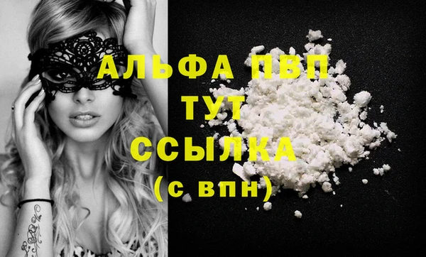 стаф Зеленокумск