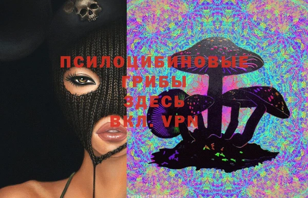 стаф Зеленокумск