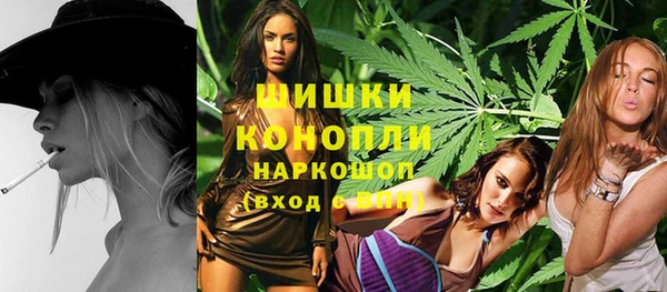 стаф Зеленокумск