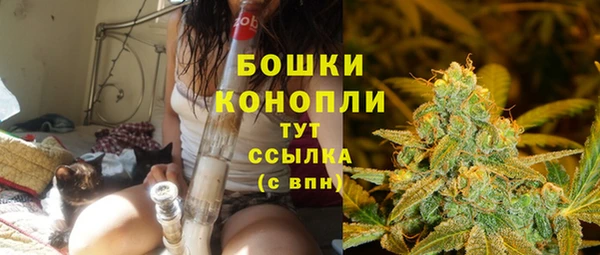 стаф Зеленокумск