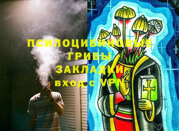 стаф Зеленокумск